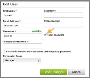 Check the "Reset password" checkbox, and fill out the "Temporary Password" field.